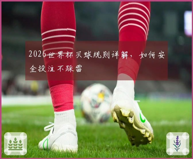 2026世界杯买球规则详解，如何安全投注不踩雷