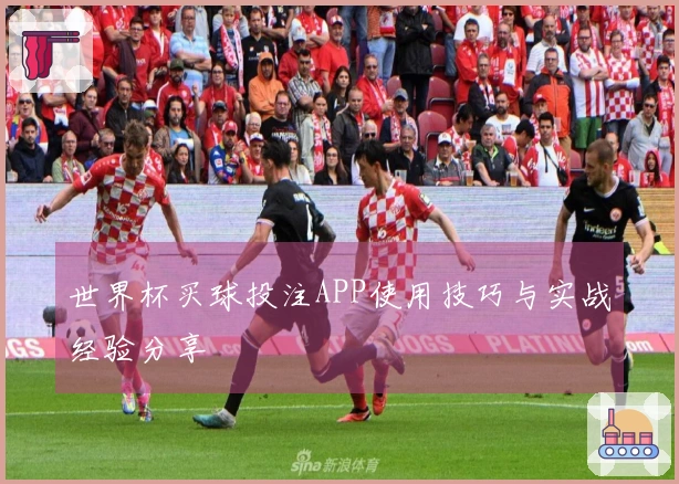 世界杯买球投注APP使用技巧与实战经验分享
