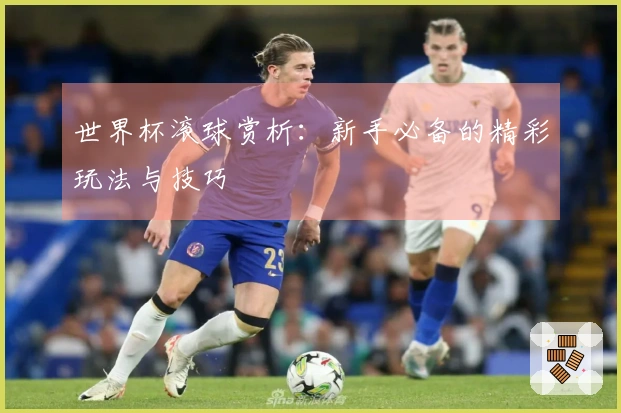 世界杯滚球赏析：新手必备的精彩玩法与技巧
