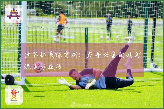 世界杯滚球赏析：新手必备的精彩玩法与技巧