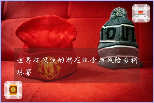 世界杯投注的潜在机会与风险分析观察